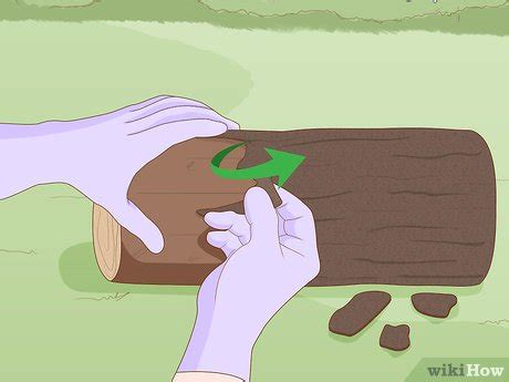 4 Ways to Use an Axe - wikiHow