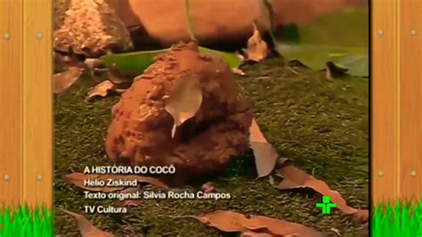 Cocorico A Historia Do Coco - Cocoricó - A História do Cocô (HD) - YouTube