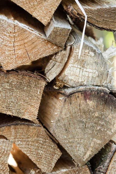 single pieces  wood stock image image  hardwood