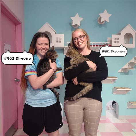 Kitty Bubble Cafe & Bar added a... - Kitty Bubble Cafe & Bar