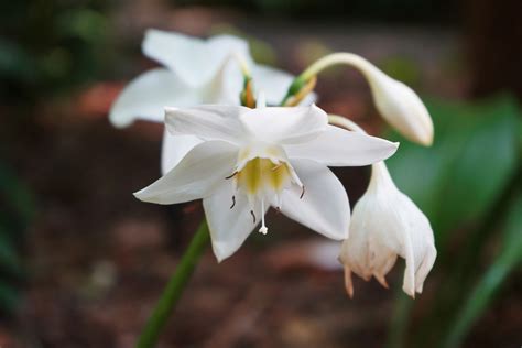 Stacy Ray Photography