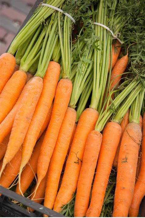 Carrots Carbs (Are Carrots Keto?) - IzzyCooking
