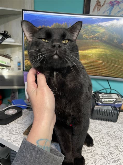 Parents are reacting to the Wowt omaha closings this week 34