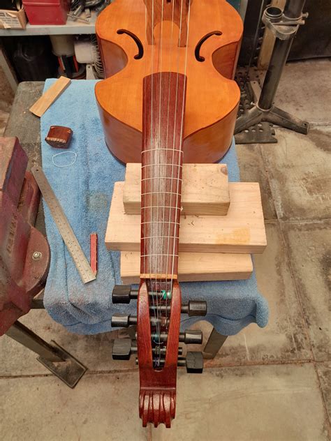 Viola Da Gamba Building Free Stock Photo - Public Domain Pictures
