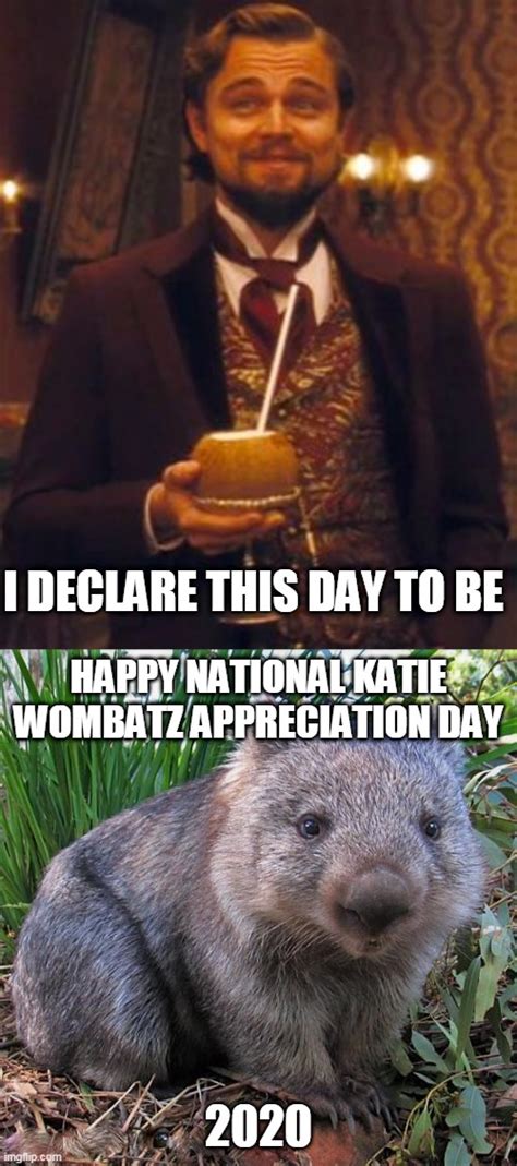 wombat Memes & GIFs - Imgflip