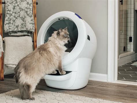Купить Самоочищающийся лоток для кошек Whisker Litter-Robot 4 с Wi-Fi и ...