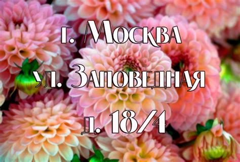 Свежие цветы, букеты по низким ценам в Москве