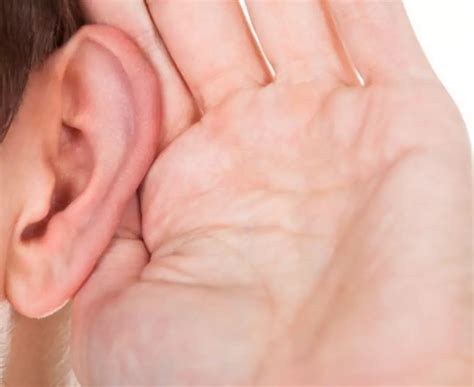 scratching sound  womans ear leads  horrific discovery