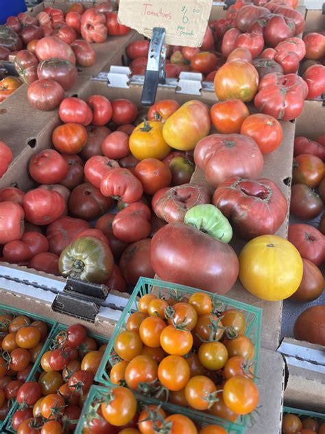 Surprising history of the police code for 5150 and how it started 12