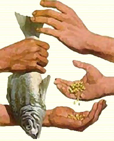 barter-system - Vivian Lawry