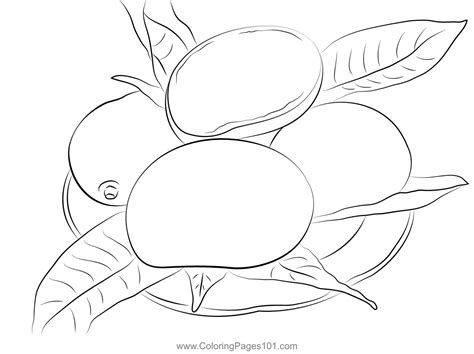 mango  coloring page  kids  mango printable coloring pages