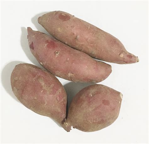 Japanese sweet potato - grossplug