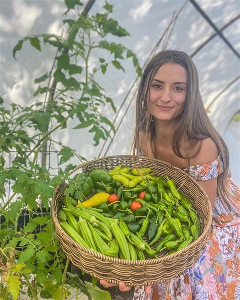 🌿 Linzy🐞 (@ladybuglinz) • Instagram photos and videos