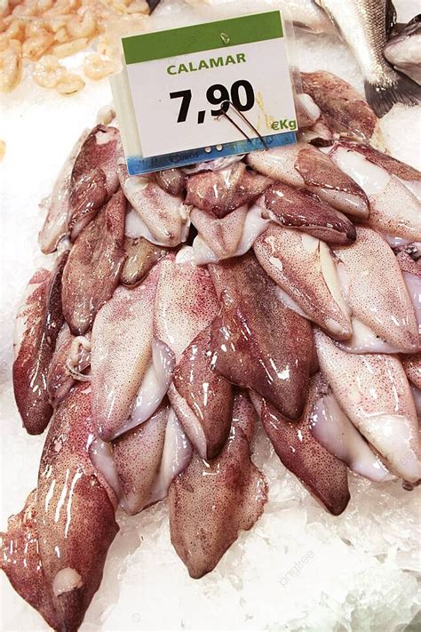 Fresh Calamar On Display At Fish Market Fish Selling Kalamar Photo ...