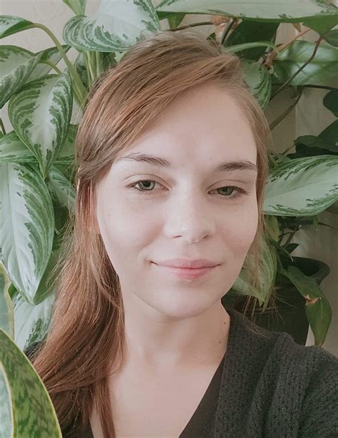 Scindapsus Pictus ‘Silvery Ann’ Care Guide (2023)