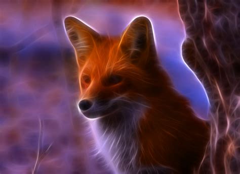 Background Fox Wallpaper - EnWallpaper