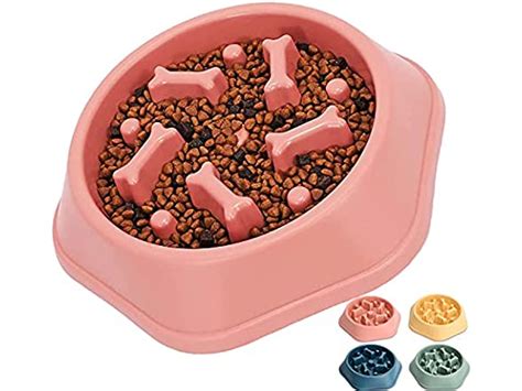 Dog Slow Feeder Bowl