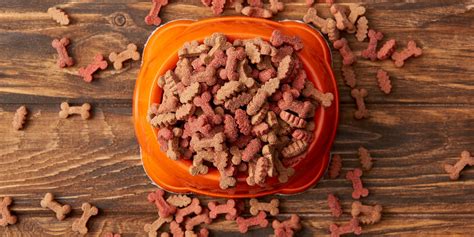 15 Best Dog Foods For Joint Pain – Prevents Arthritis & Other Joint Issues