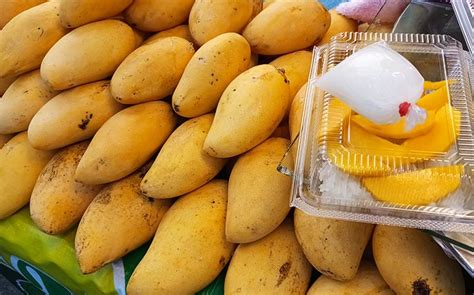 Thaïlande : à l’heure sucrée de la saison des mangues
