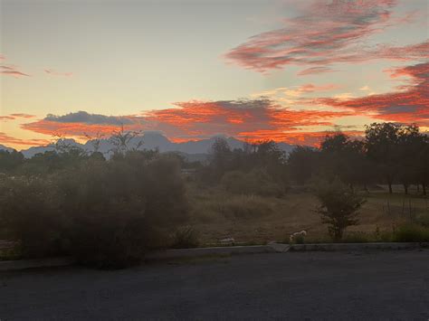 MoxyMary on Twitter: "Good morning 🌅 https://t.co/EKYPZZJzLm" / Twitter