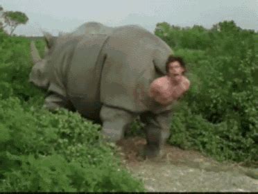 Ace Ventura Movie Rhino Birth Scene GIF - AceVentura RhinoBirth ...