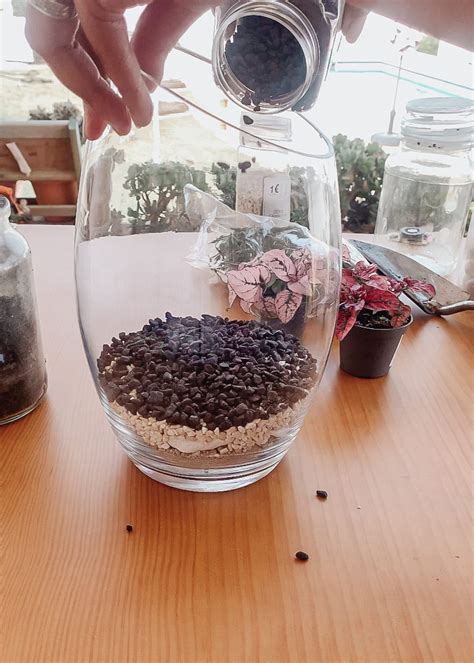 5 Easy Steps How To Make A Terrarium In A Jar or Vase