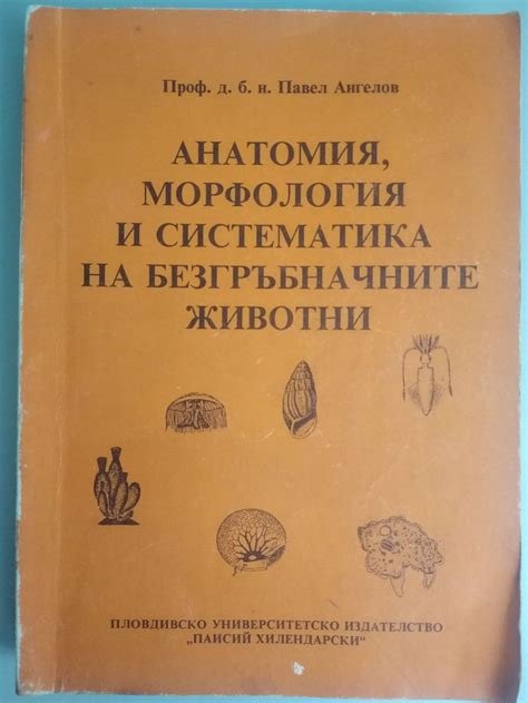 Анатомия, морфология и систематика на безгръбначните животни | Ортограф ...