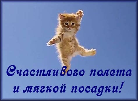 Картинки Счастливого полета! (103 фото) 🔥 BipBap.ru