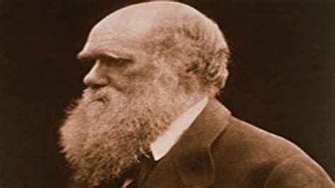 Did Obama Really Mean ‘Social Darwinism’?