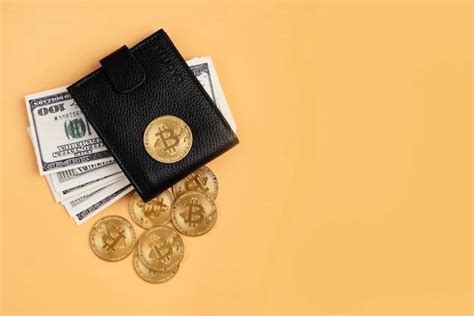 Выбор кошелька для криптовалют: горячий, холодный или мультивалютный