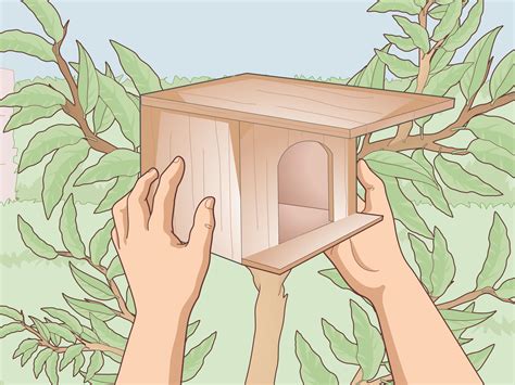 How to Attract Sparrows: 9 Steps (with Pictures) - wikiHow