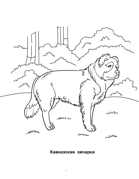 Раскраска Собака - детские раскраски распечатать бесплатно