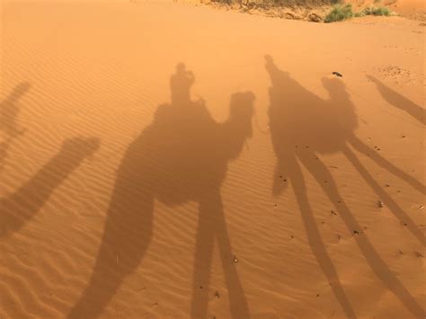 Morocco Private Travel – The Red Tree Collection