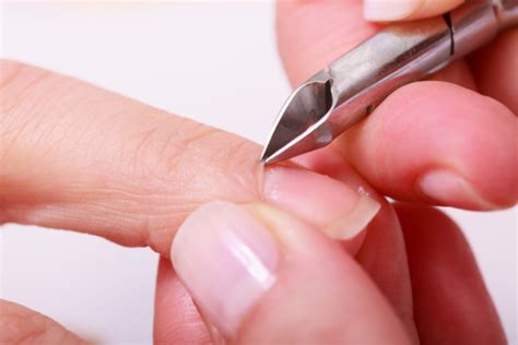 What Are Cuticles? Complete Guide to Function and Care – Nghia Nippers USA