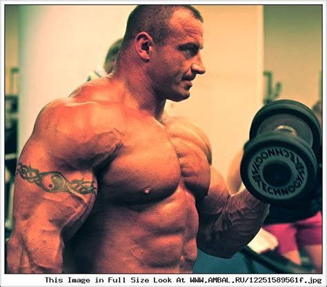 Мариуш Пудзяновский (Mariusz Pudzianowski), фотографии, биография ...