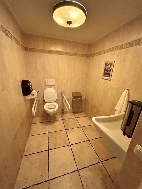 Invalide toilet - Westerburcht