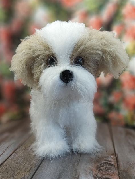 Custom Handmade Dog Maltese Yorkshire Terrier German | Etsy