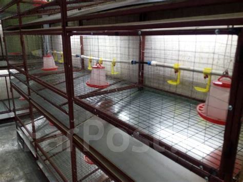 Клетки для кур бройлеров, под заказ. Цена: 18 000₽ во Владивостоке