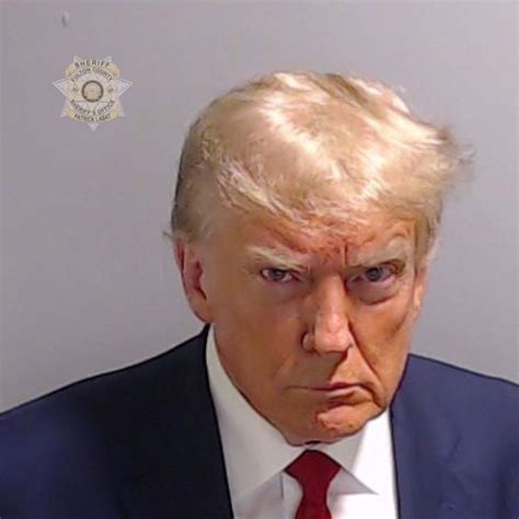 7 Jt Mugshots Myths Debunked By Leading Experts Image 15
