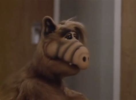 The ALF Christmas Special may be the root of all holiday depression