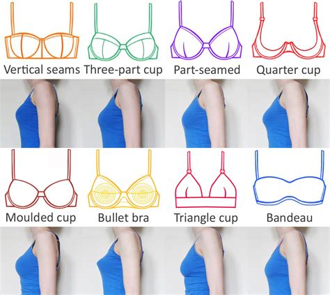 A Guide to Bra Styles, Seams and Shapes | Esty Lingerie