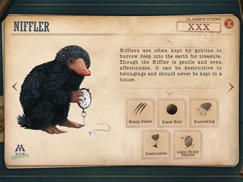 Pin by Irisha Lyadova on Гарри Поттер | Niffler, Fantastic beasts ...