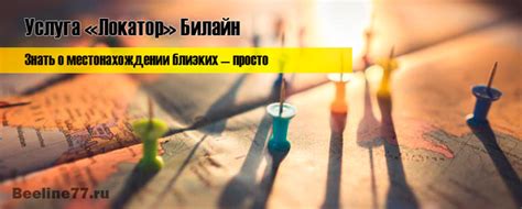 Услуга "Локатор" Билайн: что это за сервис, как подключить, отключить
