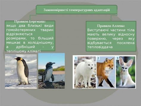 Презентація "Способи терморегуляції організмів" | Презентація. Біологія
