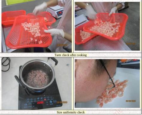 Frozen shrimp final quality check in zhangzhou yunxiao - China ...