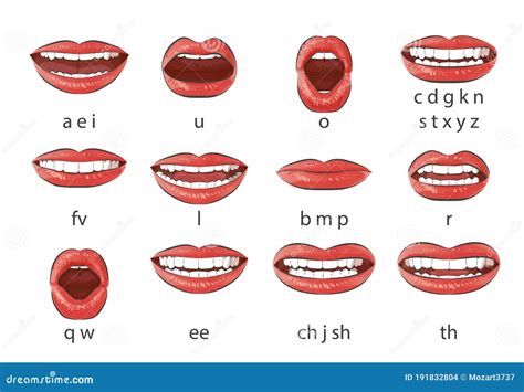 Animation Mouth Chart