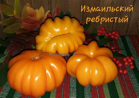 Томат Измаильский ребристый: описание сорта, отзывы, фото | tomatland.ru