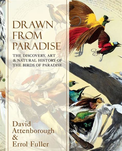 Drawn From Paradise: The Discovery, Art and Natural History of the Birds of Paradise by Sir ...