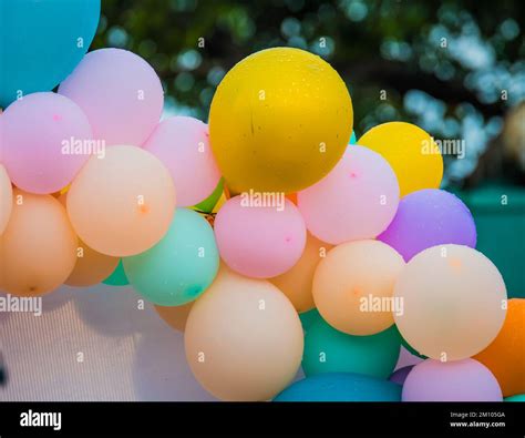 balloons   colours  shape  size stock photo alamy
