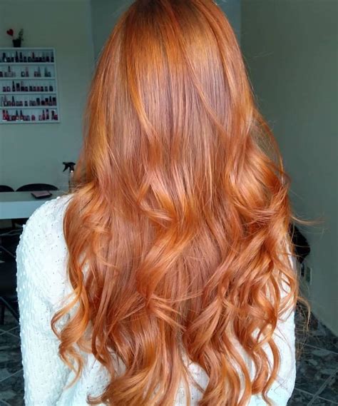Ficando Ruiva’s Instagram profile post: “Raposinha @eucrisramos 🧡🦊 844 ...
